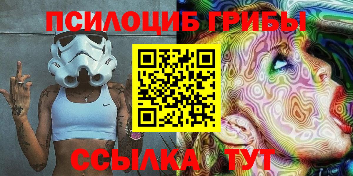 Псилоцибиновые грибы Psilocybine cubensis Губкин