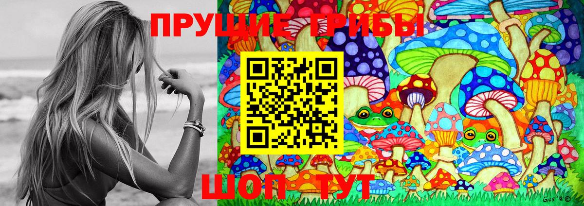 Галлюциногенные грибы GOLDEN TEACHER  Вход с VPN  Губкин 