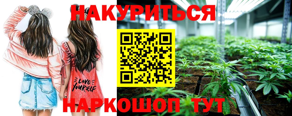 Бошки Шишки сатива Губкин